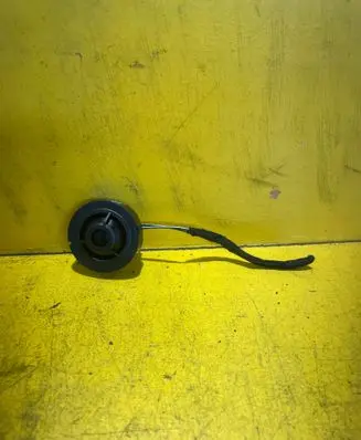 Audi A4 S4 B8 8K Front door high frequency speaker 