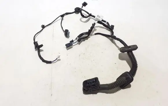 Renault Austral Other wiring loom 241251177R