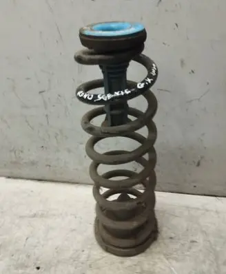 Rear coil spring