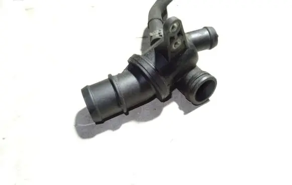 Thermostat/thermostat housing