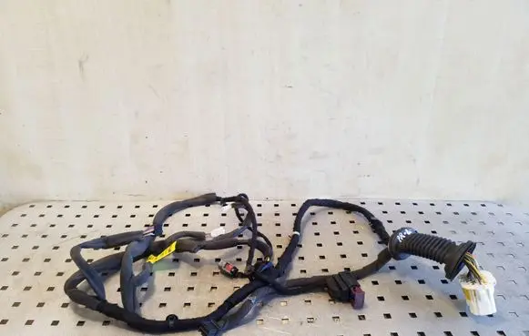 Opel Antara Front door wiring loom 95491036