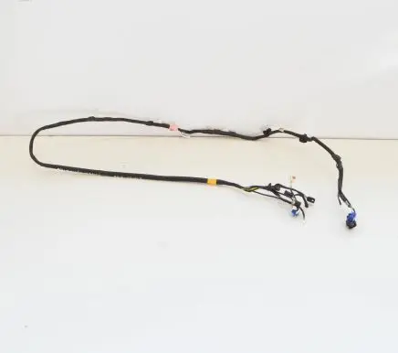 Tesla Model 3 Other wiring loom 106878700D