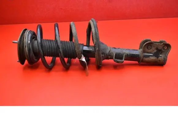 Hyundai Santa Fe Front shock absorber/damper