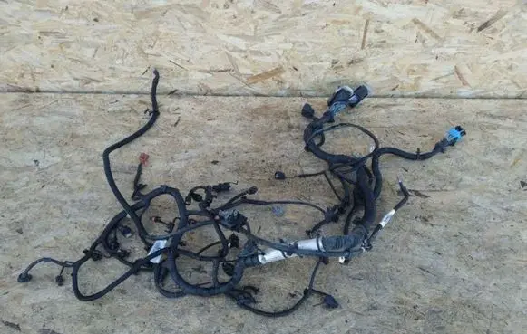 Ford Focus Engine WIAZKA12