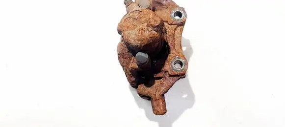 Volkswagen Sharan Front brake caliper