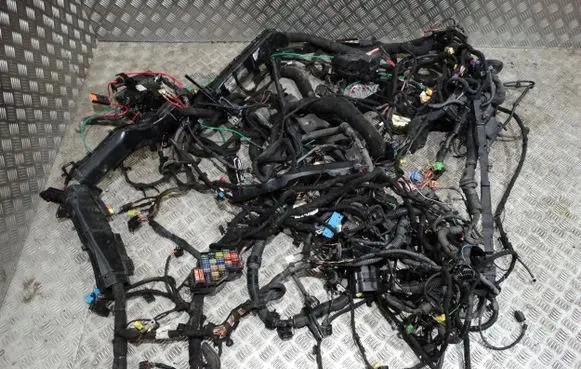 Porsche Cayenne (9Y0 9Y3) Wiring harness PANORAMALIFT16r.
