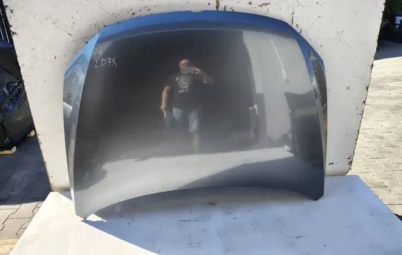 Engine bonnet/hood
