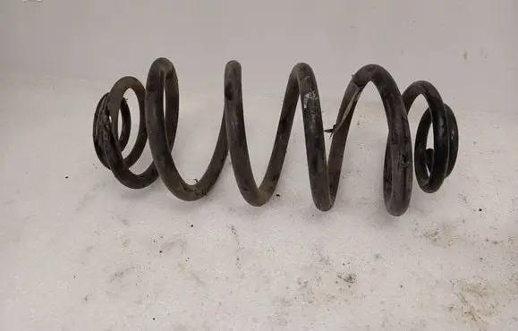 Chevrolet Volt I Rear coil spring 2904866 22810673