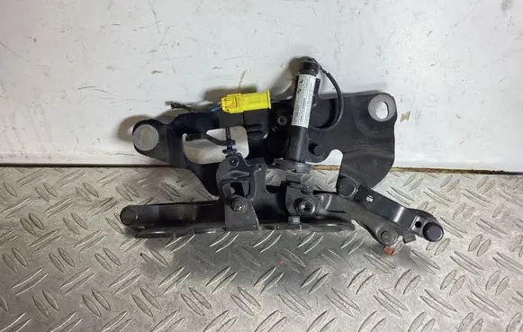 BMW 6 F06 Gran coupe Engine bonnet/hood hinges 7249887 0589P1000095