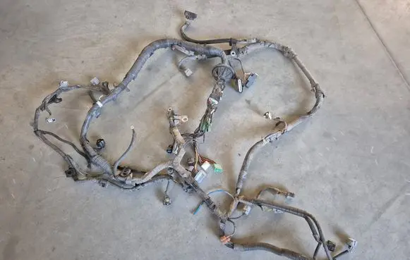 Other wiring loom