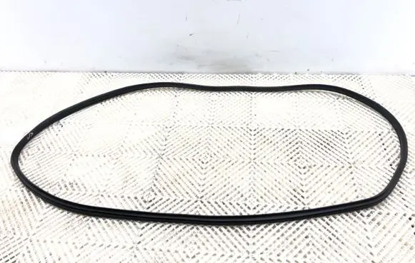 KIA Ceed Rubber seal front door (on door) 