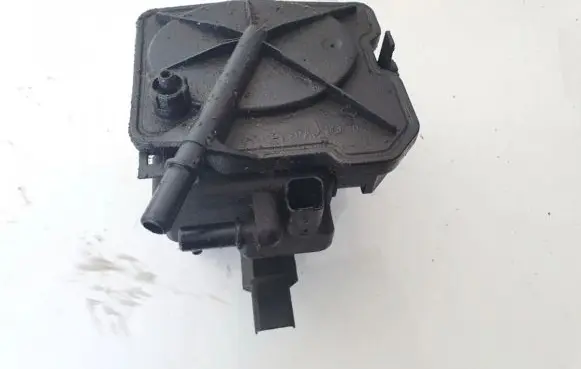 Citroen Berlingo Fuel filter 