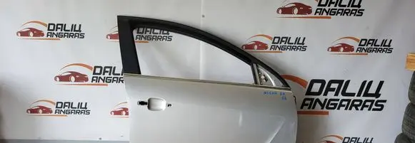 Opel Insignia A Front door