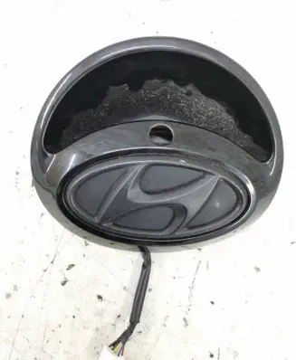 Hyundai Veloster Loading door exterior handle 