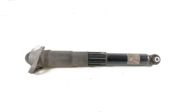 Volkswagen ID.4 Rear shock absorber/damper 1EA512013AS