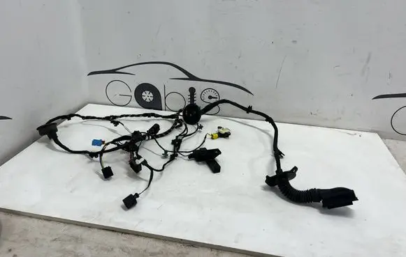 Audi R8 4S Front door wiring loom 4S8971029B 4H0955557