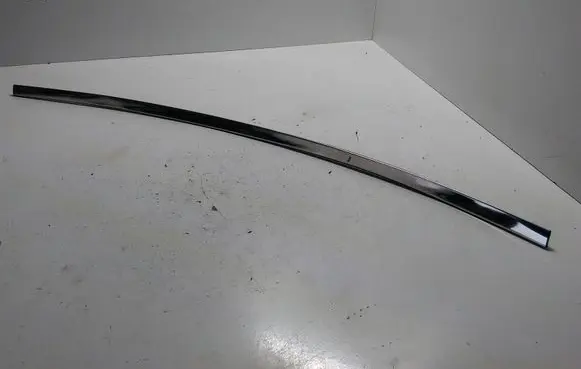 KIA Sportage Rear door trim (molding)