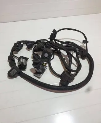 Other wiring loom