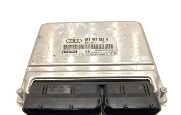 Engine control unit/module ECU