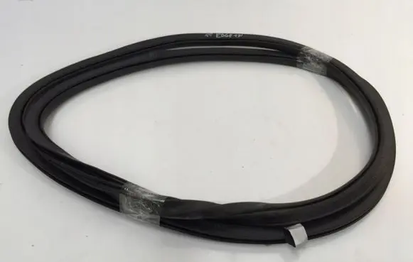 Ford Edge II Rubber seal front door (on door) 4664971