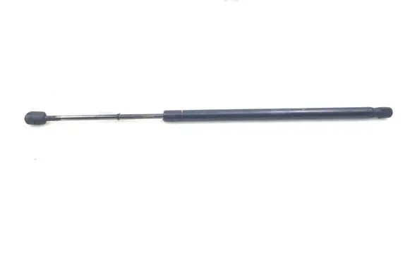 Tailgate strut