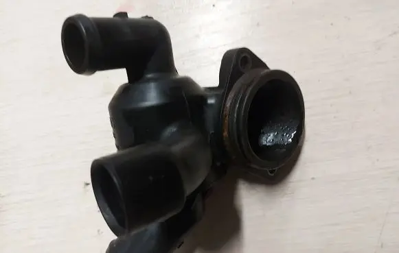 Thermostat/thermostat housing
