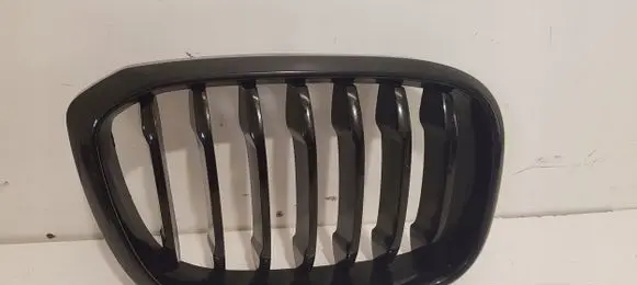 BMW X3 G01 Front grill 8091726