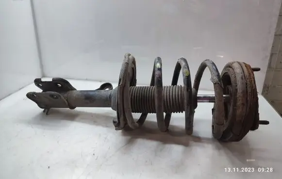 Hyundai Santa Fe Front shock absorber with coil spring