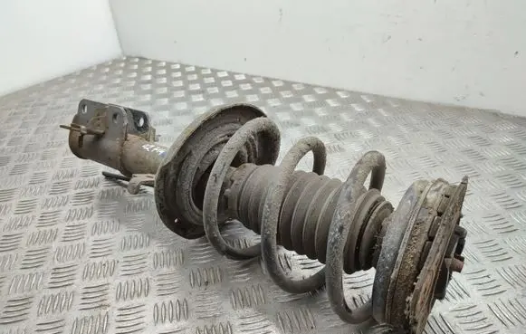Renault Laguna III Front shock absorber/damper