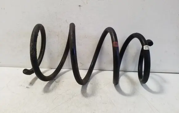 Lexus NX Front coil spring
