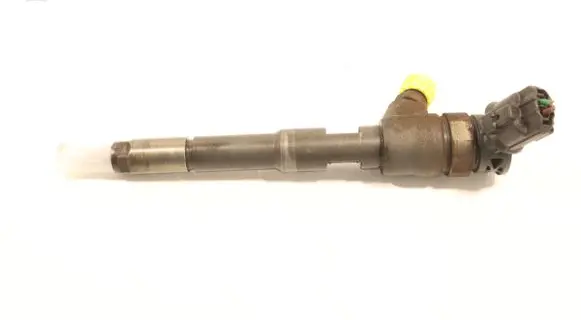 Dacia Dokker Fuel injector 0445110485