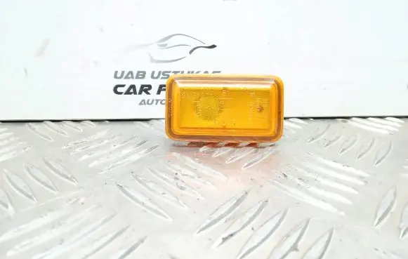Front fender indicator light