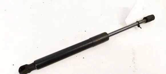 Tesla Model 3 Tailgate/trunk strut/damper 109156000B