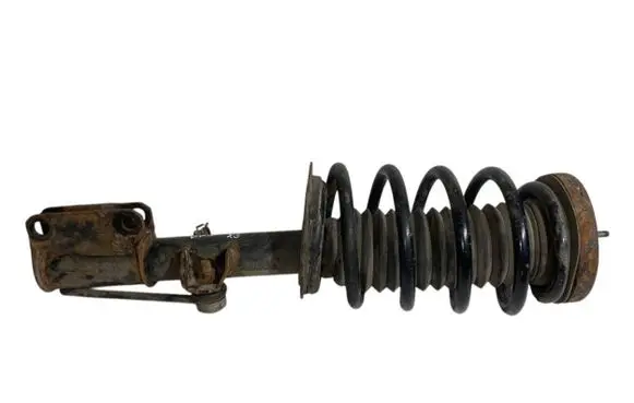 BMW X5 E53 Front shock absorber with coil spring 6754342 31316754342