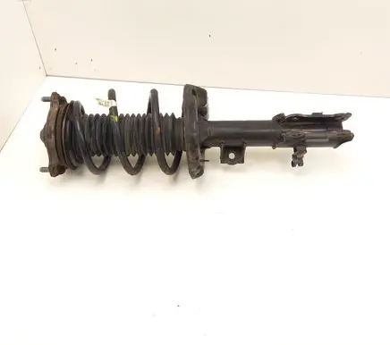 KIA Niro Front shock absorber with coil spring 54661G5200 45630G5050