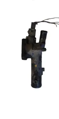 Thermostat/thermostat housing