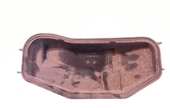 Citroen Jumper Headlight/headlamp dust cover 41540749D