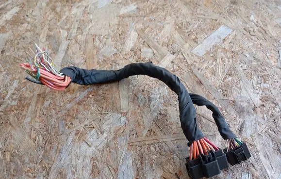 Front door wiring loom