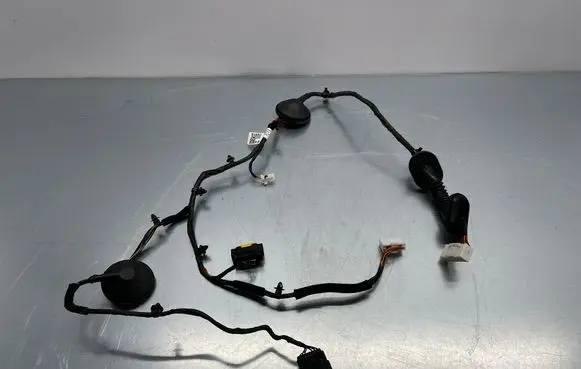 Hyundai Santa Fe Rear door wiring loom 916502W031