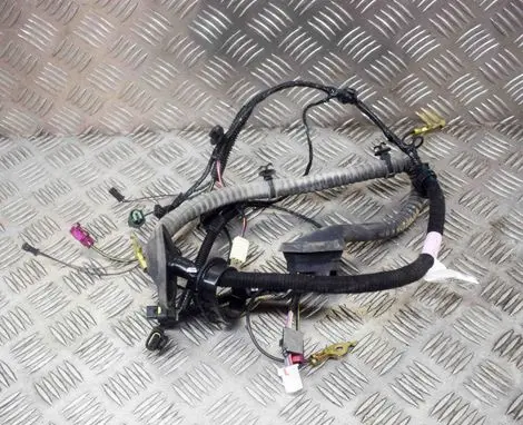 Tesla Model 3 Other wiring loom 106878980D