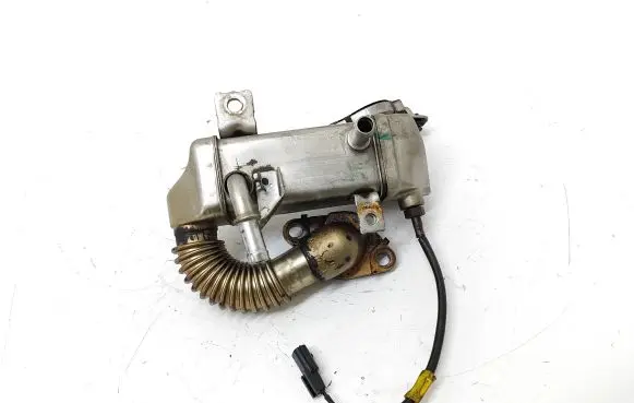 EGR valve cooler