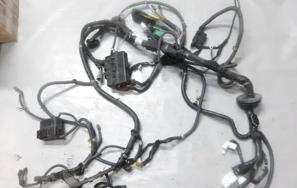 Nissan Qashqai Wiring harness 240124EA6A