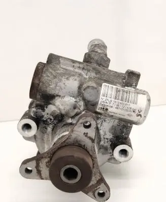 Renault Trafic II (X83) Power steering pump 7613955611 491101050R