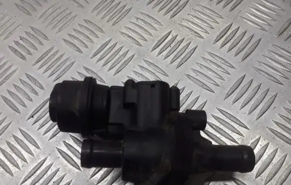 Thermostat/thermostat housing