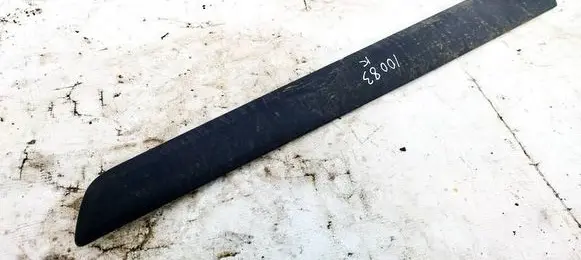 Renault Kangoo II Rear door trim (molding) 8200439115