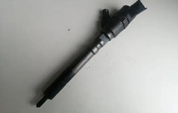 Hyundai Santa Fe Fuel injector 0445110064 3380027010