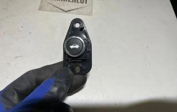Dodge Charger Tailgate opening switch 68141864AA