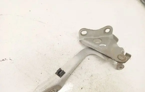 Toyota RAV 4 (XA30) Engine bonnet/hood hinges 