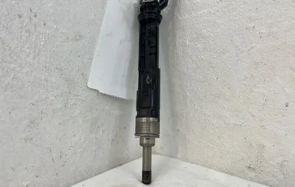 Nissan Qashqai J12 Fuel injector 166005550R