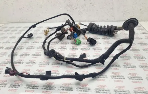 Front door wiring loom